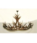 Deer antler oval chandelier 8 light 160cm