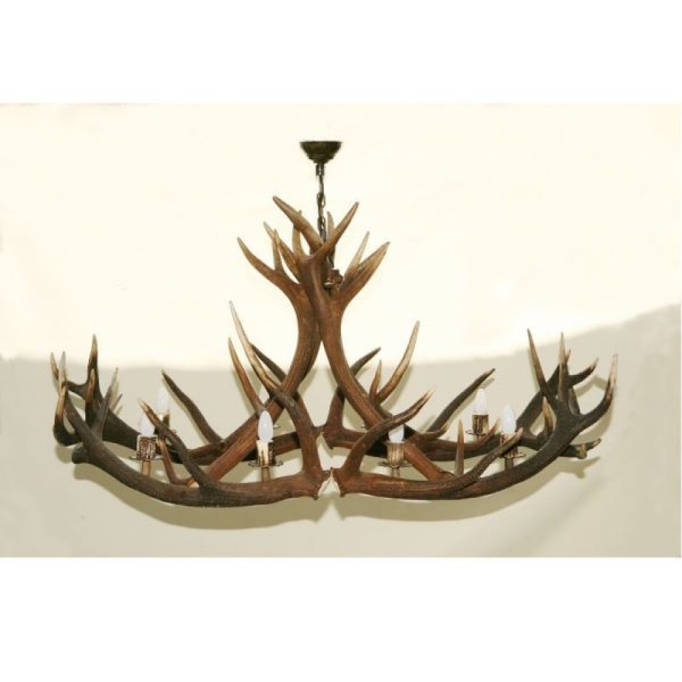 Deer antler oval chandelier 8 light 160cm