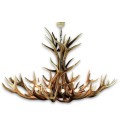 Deer antler chandelier 12 light 140cm