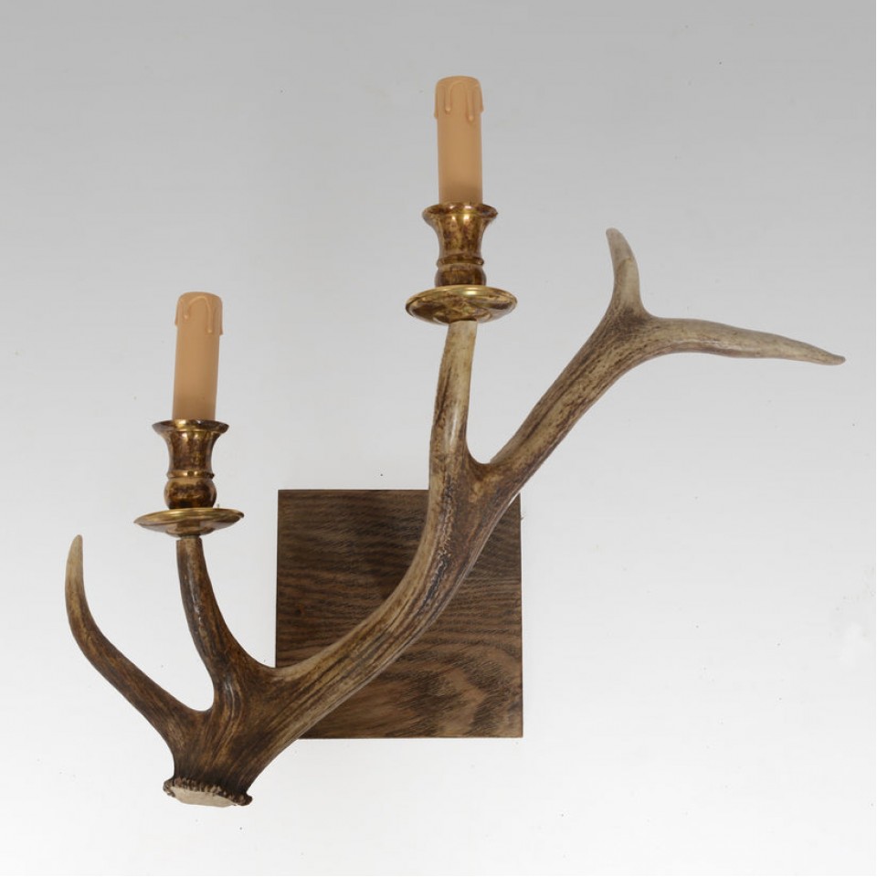 Red deer antler 2-light wall lamp natural 55 cm