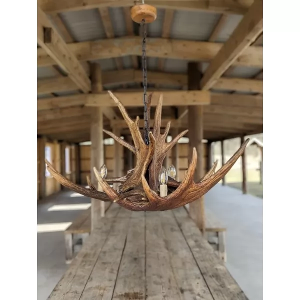 Älghorn takkrona 3 ljus 80cm